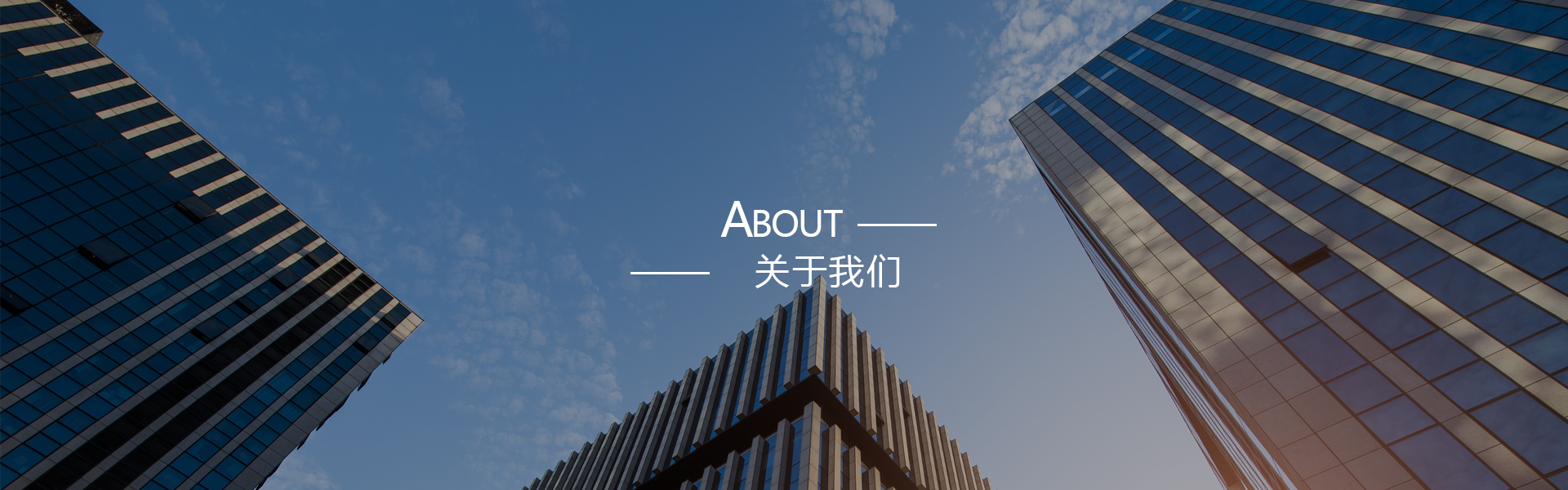 公司简介
